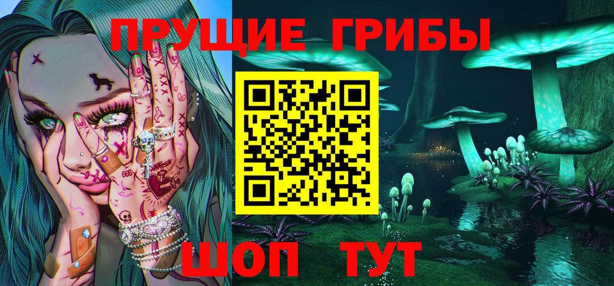 как найти закладки  Вход с VPN  Ярославль  Псилоцибиновые грибы MAGIC MUSHROOMS 